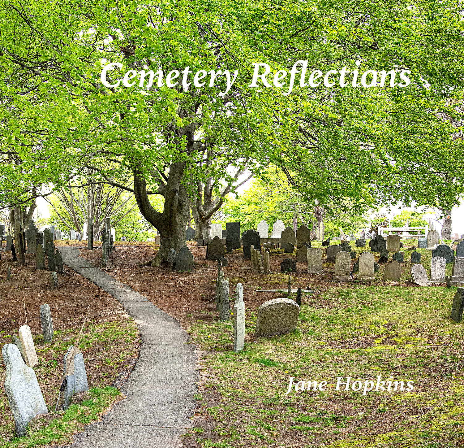 Cemetery Reflections